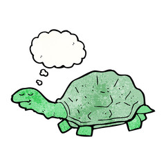 cartoon tortoise