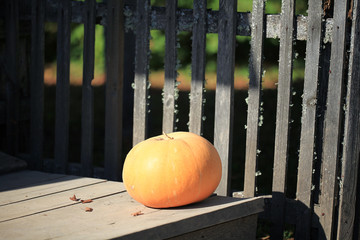 landscape village fence pumpkin house