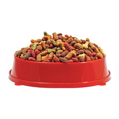 Multicolored dry cat or dog food in red bowl isolated on white b