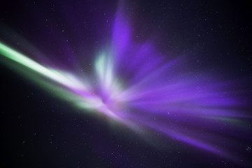 Aurora Angel