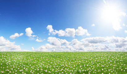 Green field and blue sky