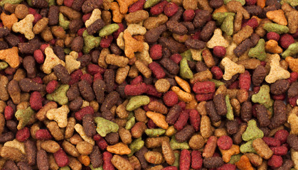 Dry pet food (dog or cat) multicolored background