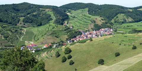 Schelingen im Kaiserstuhl