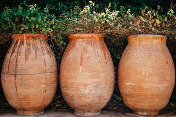 Three plant pots