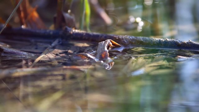 Abstract selectively focused shot showing a close view on grass