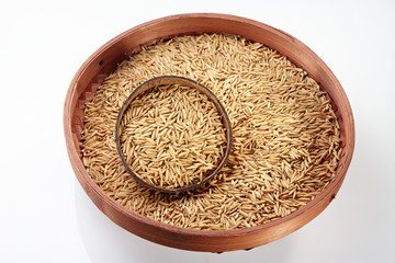 Paddy on coconut & Tray isolated on white background