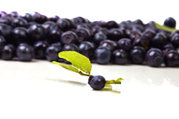 a lot of ripe blueberries with green helpful leaf