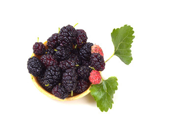 delicious ripe black mulberries in tartlet