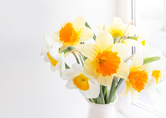 Daffodil Flower.