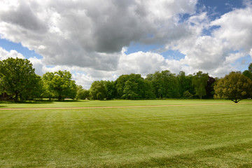 Lush green manicured lawn and trees
