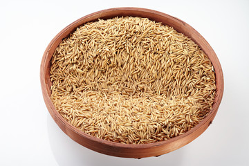 Paddy on Tray isolated on white background