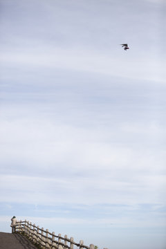 An elderly man standing on the seafront looking up at a microlight aircraft. 