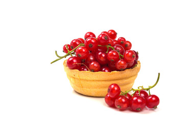 full of ripe red currant tartlet