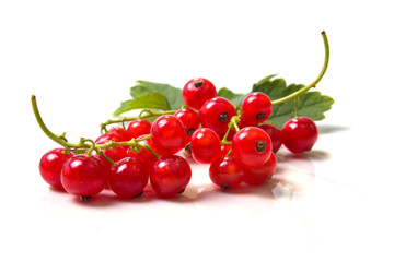 ripe red currant branches