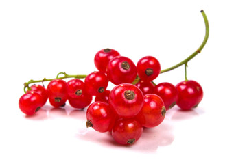 ripe red currant colorful branches