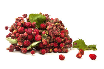 sheaf of dried wild strawberries