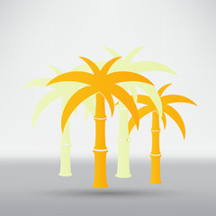 Palm trees