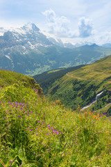 Naklejka na ściany i meble Waterfall among alpine meadows.