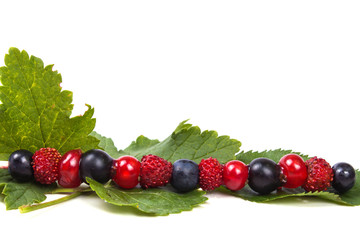 skewer with forest ripe berries on green leaves
