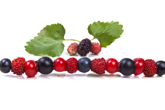 skewer with forest ripe berries