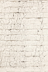 brick wall with white paint full of cracks