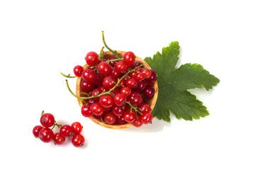 top tartlet filled with red currant with leaves