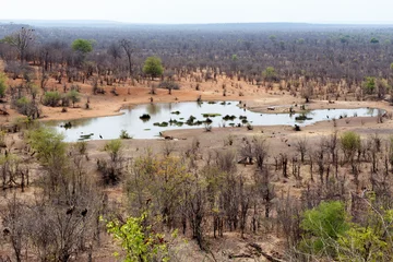 view of african landscape