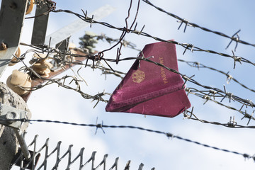 Passport folded as a paper plane hanging in a barbed wire