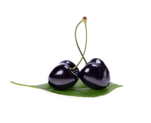 Two  ripe black cherries on green leaf  Isolated on a white background