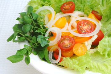 野菜サラダ