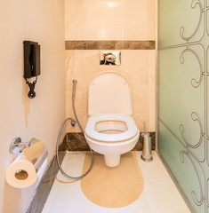 Modern interior of bathroom and toilet