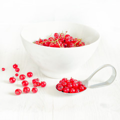 Red currant on a white plate, red currant dessert Spoon