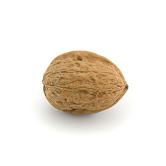 wallnuts isolated