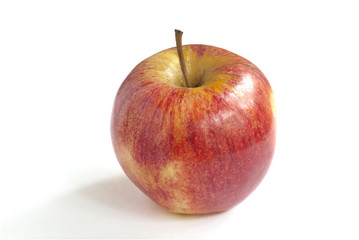 Single fresh red green apple