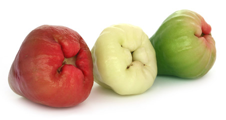 Fresh water apple or rose apple
