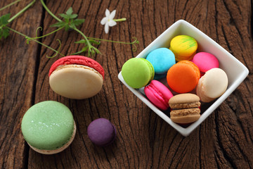 Macaron multi color.