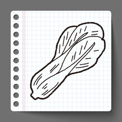 Cabbage doodle