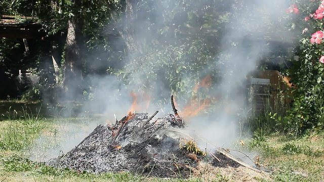 Feu de jardinage