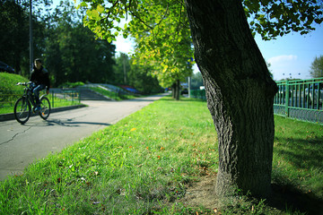 Summer in the city park landscape