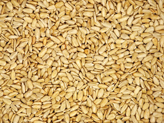 Sunflower Seeds Texture.