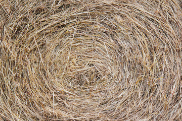 straw bale texture