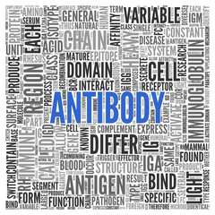 ANTIBODY Word Tag Cloud Design