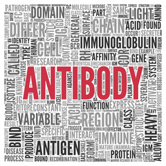 ANTIBODY Word Tag Cloud Design