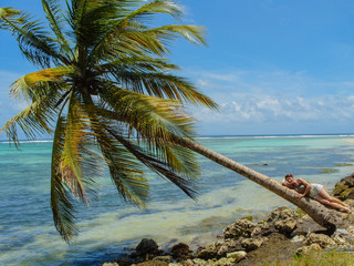 Coconut tree on the Caribbean Sea in Guadeloupe.