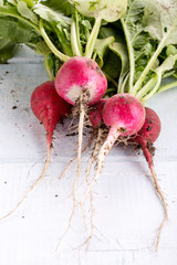 Heap of fresh red radish