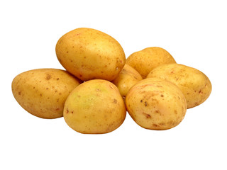 Ripe potatoes.Isolated.