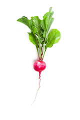 radish