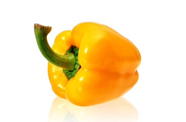 Gelbe Paprika mit Spiegelung vor weißem Hintergrund
