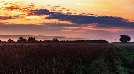Fototapeta premium Autumn Sunrise Rural Landscape Panorama