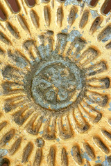 Background patterned steel chair